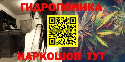 гидра Можга