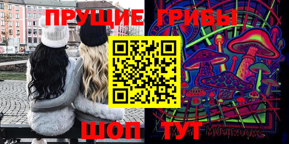 Галлюциногенные грибы GOLDEN TEACHER  Вход с VPN  где найти   Фрязино  Галлюциногенные грибы Cubensis 